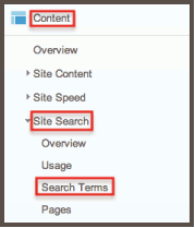 Tracking Internal Site Search #3