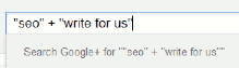 Google seo and write for us search example.